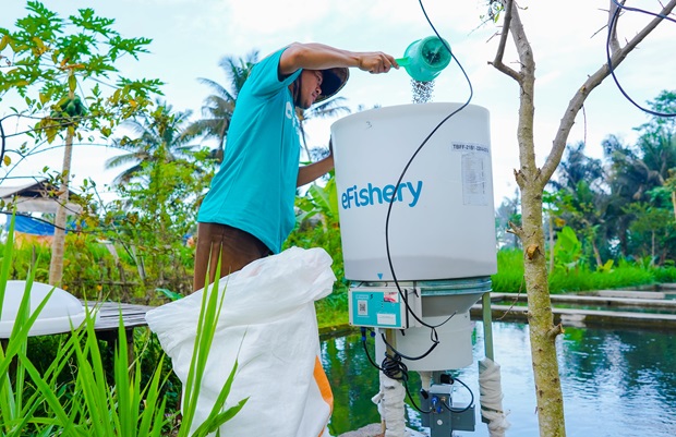 eFishery: Laporan Keuangan Ganda dan Fraud Sistemik